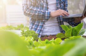 Verduurzaming, innovatie en digitalisering voeren de boventoon in de Food- & Agri sector