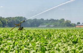 Voldoende goed water blijft een uitdaging