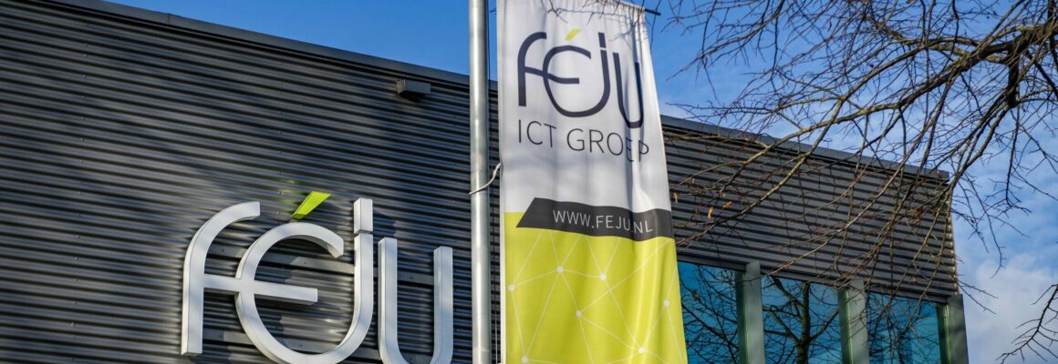 Féju ICT Groep