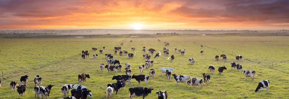 Vanaf 2025 bepaalde agrarische goederen en diensten tegen 21% btw